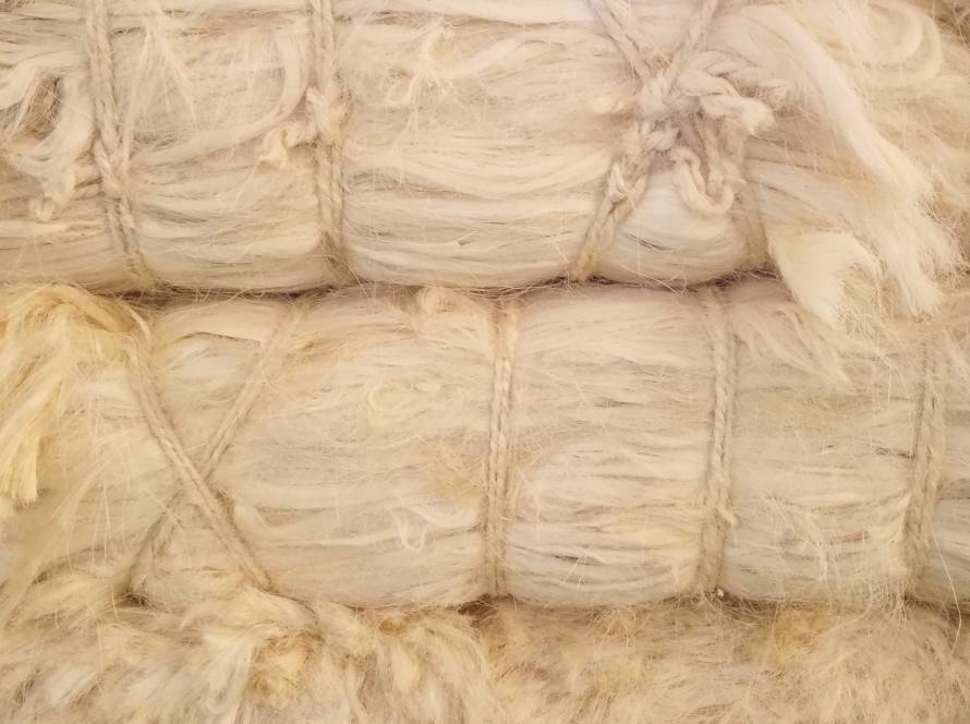 tow sisal fiber at liemba sisal