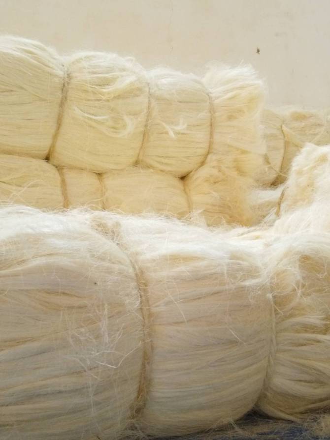tow sisal fiber at liemba sisal